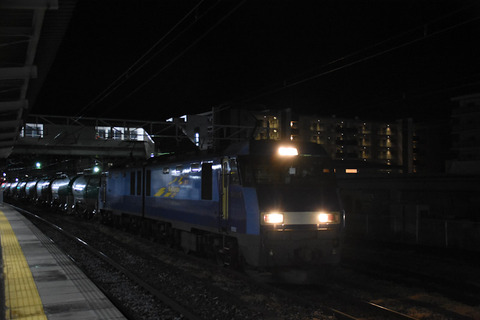DSC_3024-1