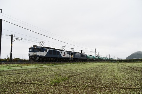 DSC_4504-1