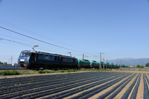 DSC_1559-2
