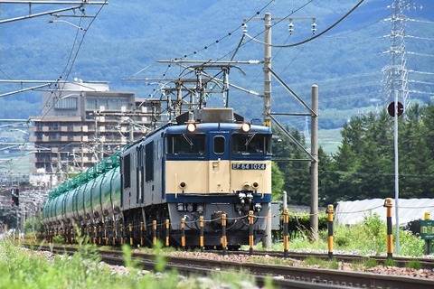 DSC_1635 (2)-1