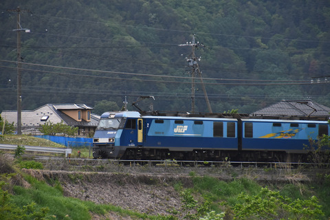 DSC_9059-1