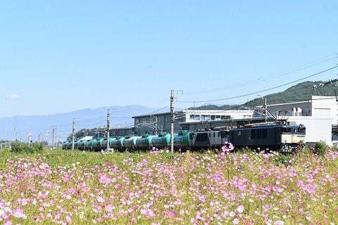 DSC_9860-1