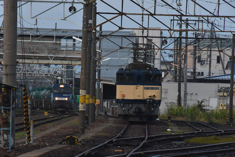 DSC_6079-1