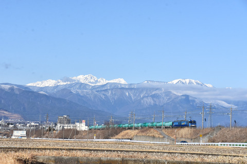 DSC_6336-1