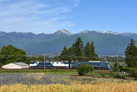 DSC_0245-1
