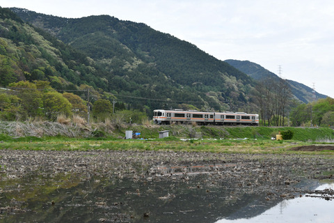 DSC_0513-1