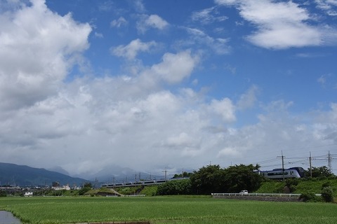 DSC_7517-1