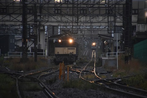 DSC_7404-1