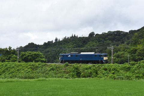 DSC_8187-1