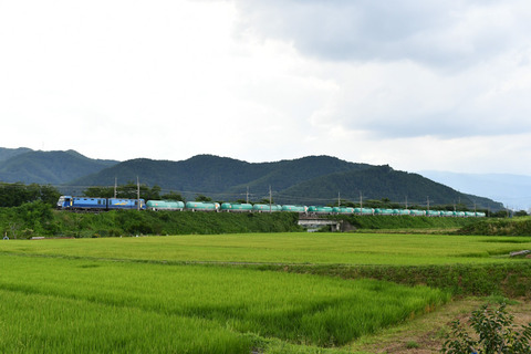 DSC_4270-1