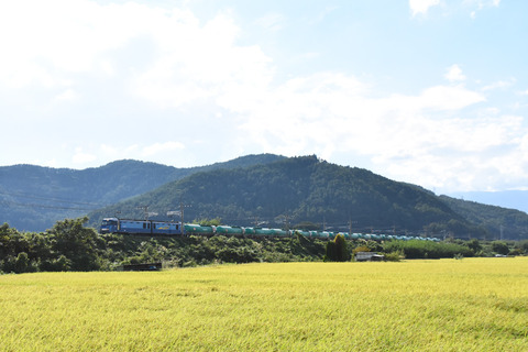 DSC_9542-1