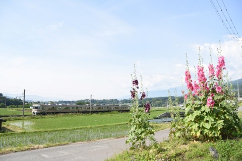 DSC_1854-2