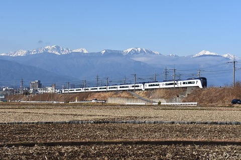DSC_7967 (2)-1