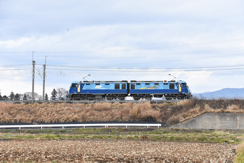 DSC_1687-1