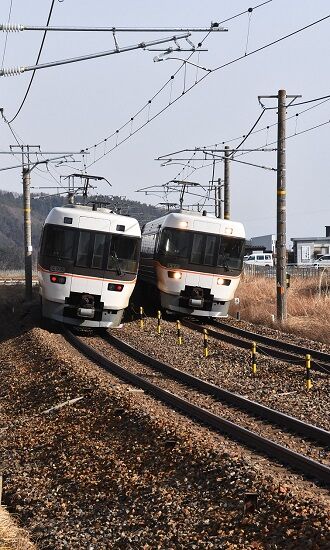 DSC_9873 (2)-1