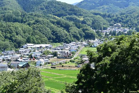 DSC_9773-1