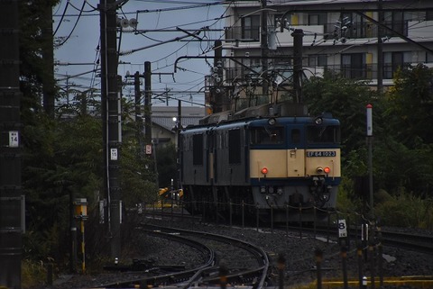 DSC_2050-1