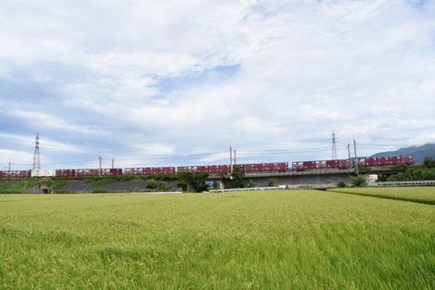 DSC_3686-2