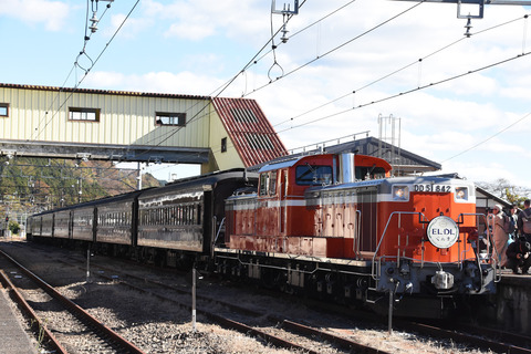 DSC_7728_edited