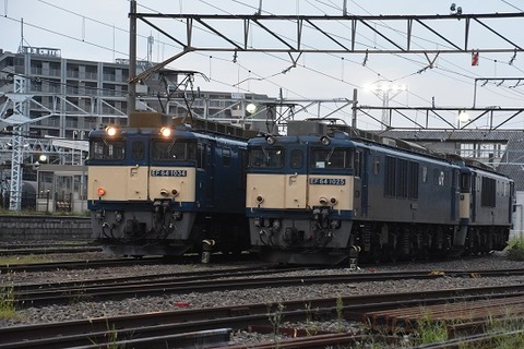 DSC_9564-1