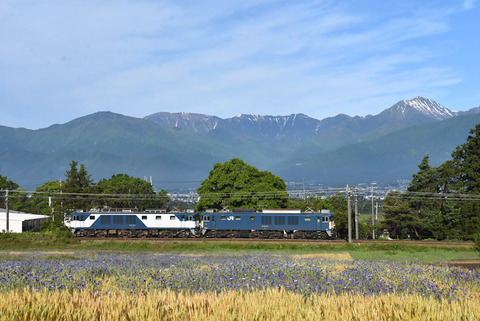 DSC_0233-1