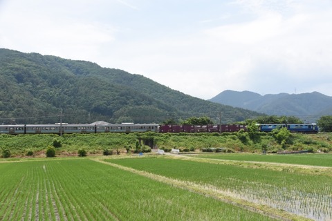 DSC_7495-a-2