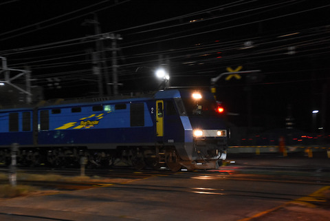 DSC_9937-1