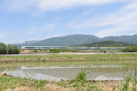DSC_9155-1