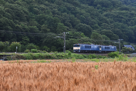 DSC_2009-1