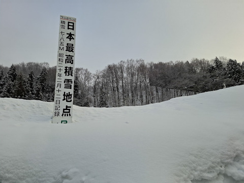 20250215_074551-1
