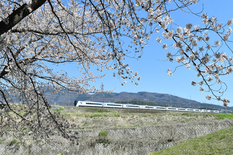 DSC_1530_edited