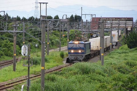 DSC_9582-1