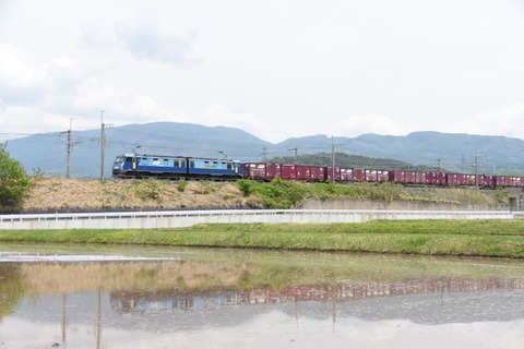 DSC_2093-a-2