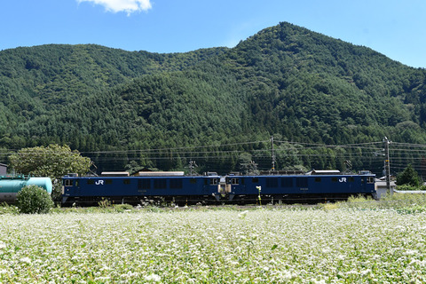 DSC_6324-1