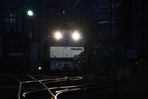 DSC_9933-1