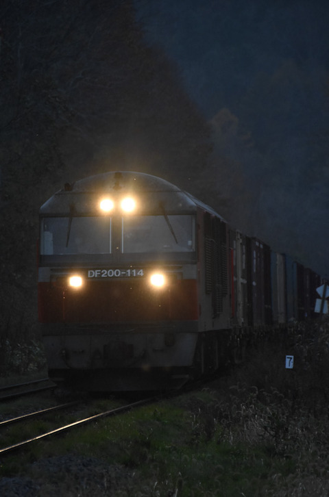 DSC_3529-1