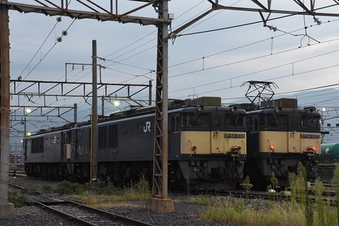 DSC_9559-1