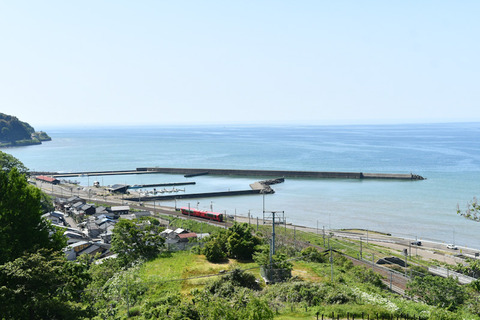DSC_4452-1