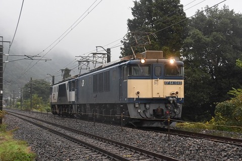 DSC_7392-1
