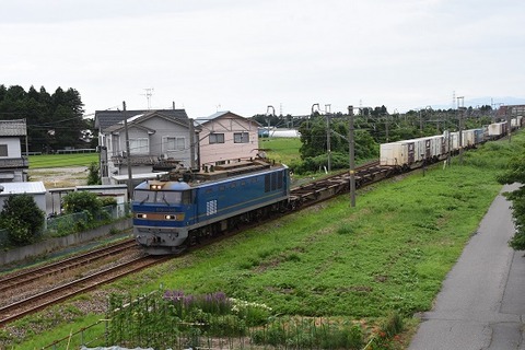 DSC_9593-1
