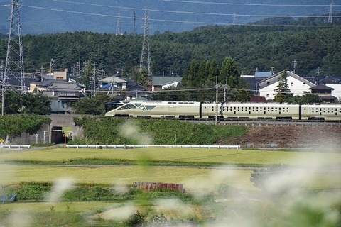 DSC_8641-1