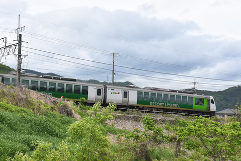 DSC_9784-1