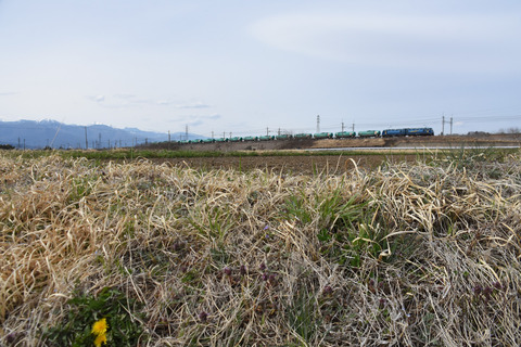 DSC_4967_edited