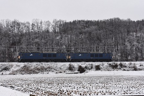 DSC_2085-1