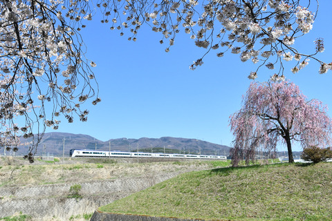 DSC_1608_edited