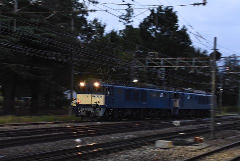 DSC_2185-1