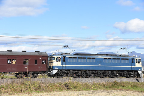 DSC_7651-1