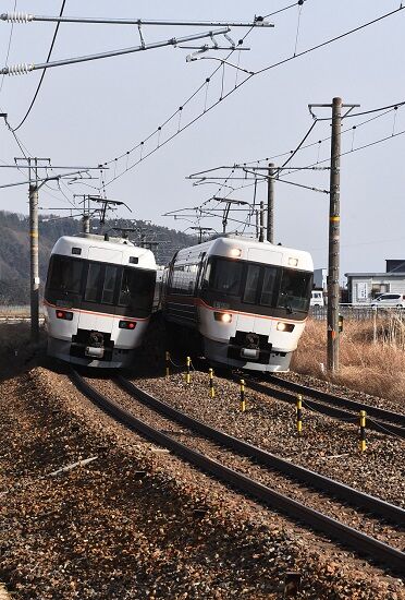 DSC_9874 (2)-1