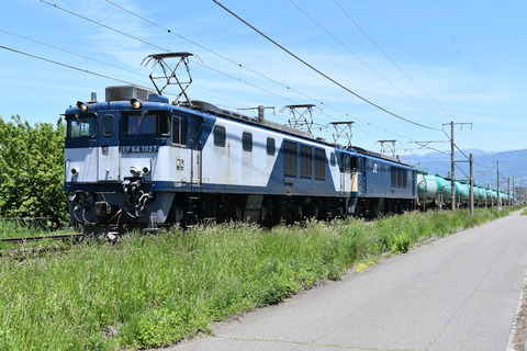 DSC_5208-1