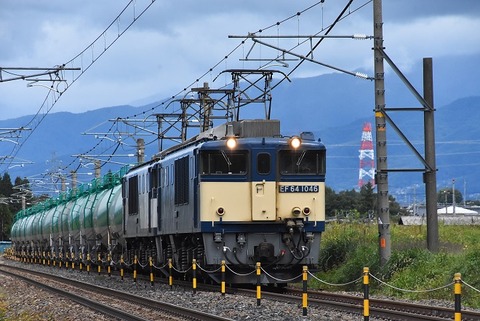 DSC_4873 (2)-1